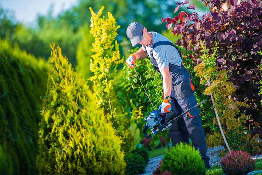 Bregne Service – Haveservice Østjylland